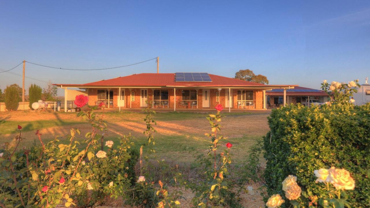 Golfers Inn Tenterfield Exterior foto